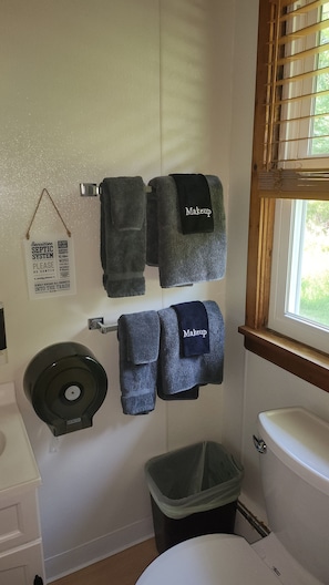 Kahden hengen deluxe-huone, tupakointi kielletty, lemmikit sallittu | Kylpyhuone | Suihku, hiustenkuivaaja, pyyhkeet, saippua