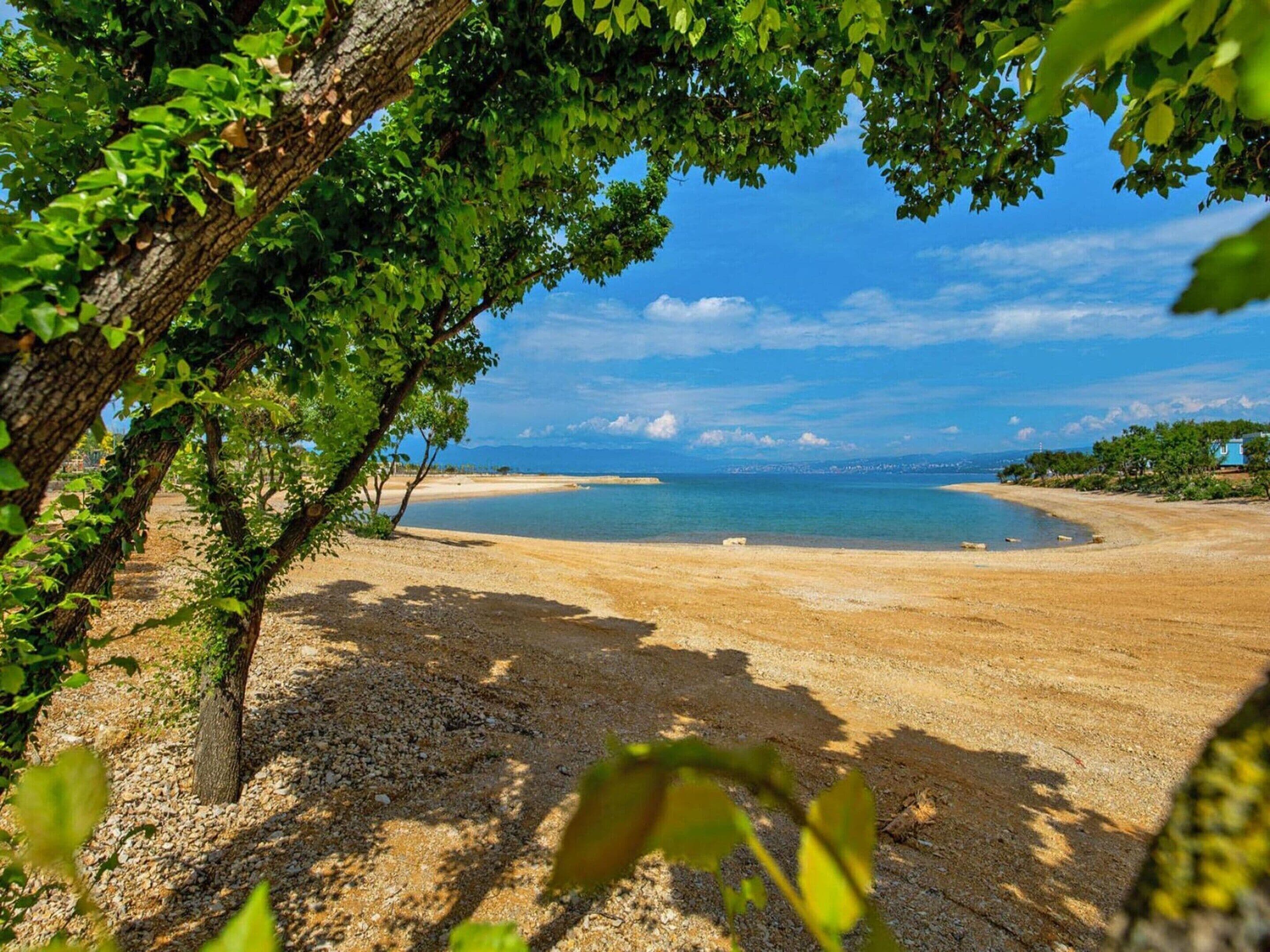 Mobile Home | View from property