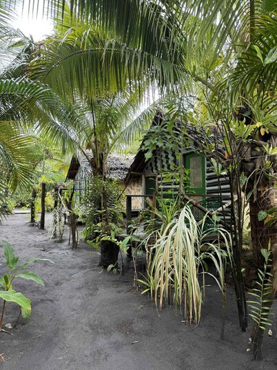 Jungle Oasis 