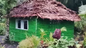 Habitación básica con 1 cama doble o 2 individuales