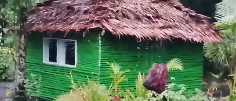 Una pequeña casa verde con techo de paja y una ventana, rodeada de diversas plantas.