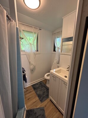 Shower, towels, soap, toilet paper