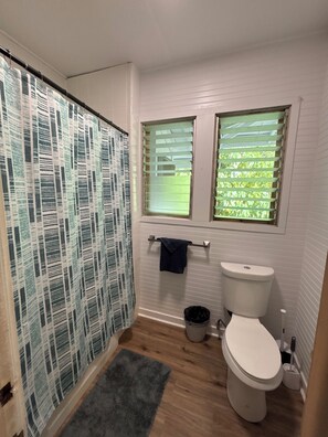 Shower, towels, soap, toilet paper