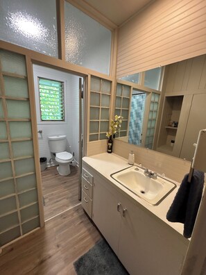 Shower, towels, soap, toilet paper
