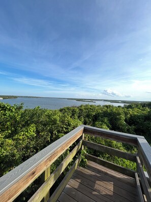Property grounds - Steps to the beach! Cozy 3-bedroom condo with in charming New Smyrna Beach (New Smyrna Beach)