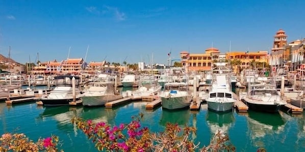 Marina