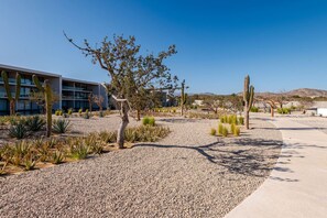 Apartment | 3 bedrooms - Brand new San Jose Condo (San José del Cabo)