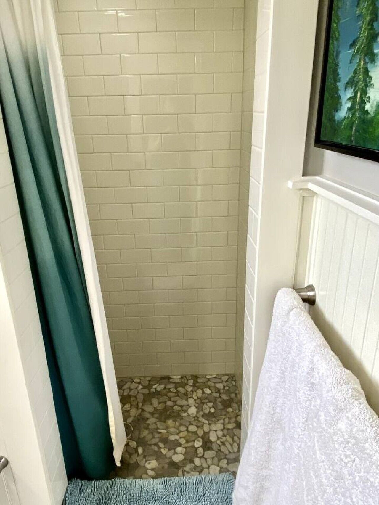 Shower, hair dryer