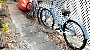 Un quartier résidentiel avec un sentier bordé de petits cailloux, un vélo bleu et un objet gonflable rouge.