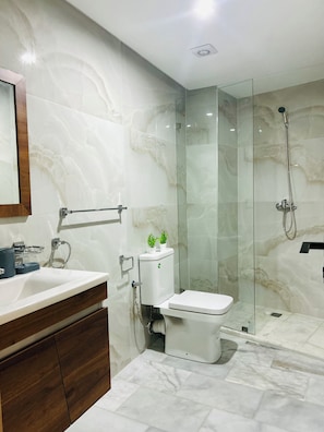 Shower, towels, soap, toilet paper
