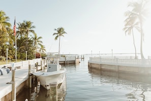 Un puerto deportivo con barcos amarrados, palmeras y un puente al fondo.