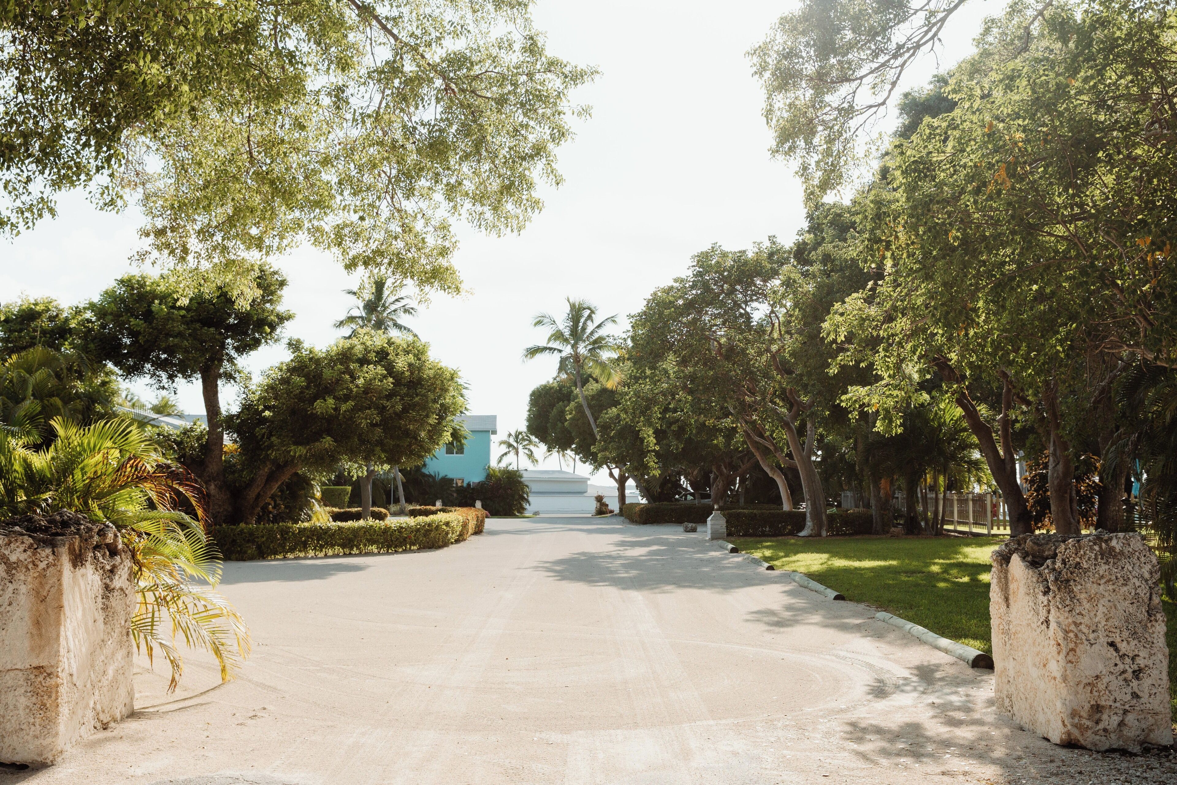 A paved pathway flanked by lush greenery and palm trees, leading towards a distant building.