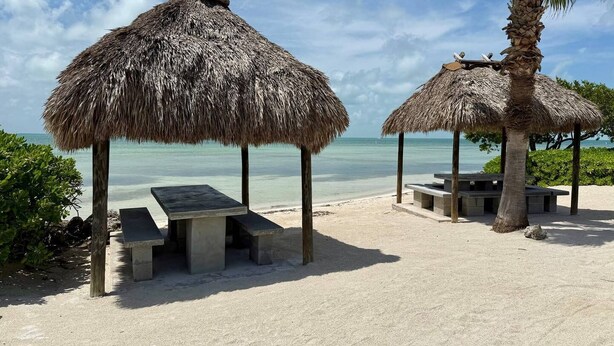 A beach with thatched umbrellas and concrete benches.