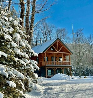 Exterior - The Greylock Cabin (Florida)