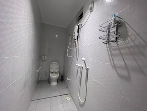 Shower, hair dryer, bidet, towels