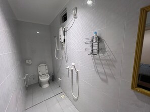 Shower, hair dryer, bidet, towels