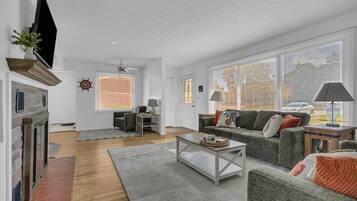 Televisor, llar de foc, llibres i oficines