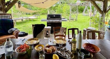 Eco-Yourte dans le foret