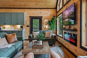 Télévision, cheminée, jeux vidéo