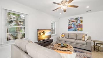 Fernseher, Arbeitsbereiche