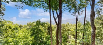 Charming 3BR house with Mountain Views, Full Kitchen, and Dog Friendly