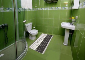 Shower, towels, soap, toilet paper