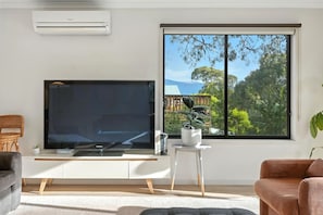 Fernseher