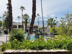 Area piscina con palme, piscina recintata e un edificio sullo sfondo.