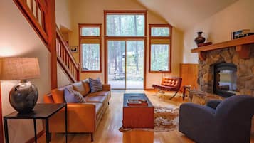 Fireplace, DVD player, books, offices