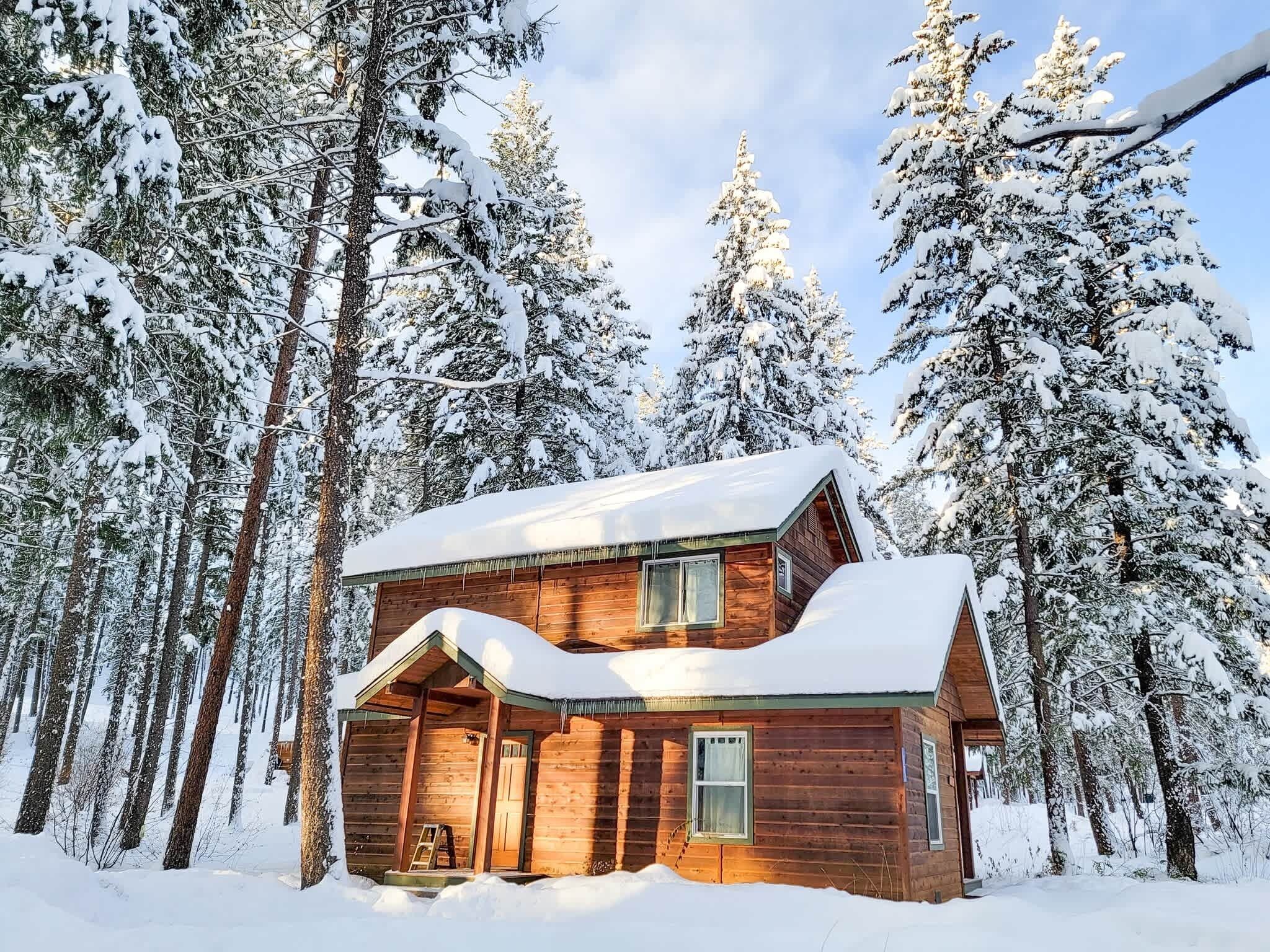 Une cabane en bois entourée d’arbres couverts de neige.