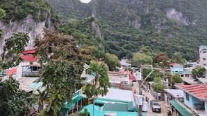 A mountainous landscape with dense greenery and a small settlement. - Alocasia El Nido (El Nido)