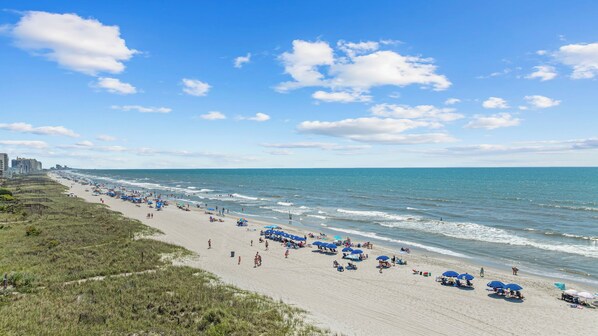 Nära stranden