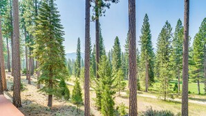 A forested area with tall pine trees and a dirt path. - Golf & Mountain Views - Retreat in Clio (Clio)
