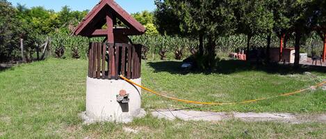 Enceinte de l’hébergement