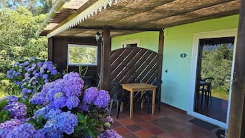 Habitación clásica doble, vistas a la montaña | Terraza o patio