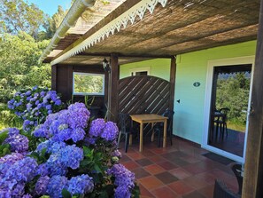 Terraza o patio