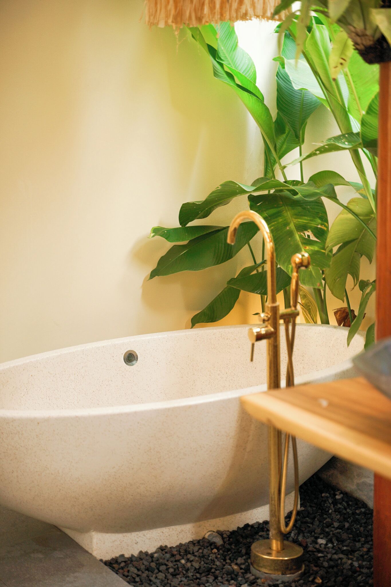 A bathtub with a gold faucet, surrounded by large green plants.