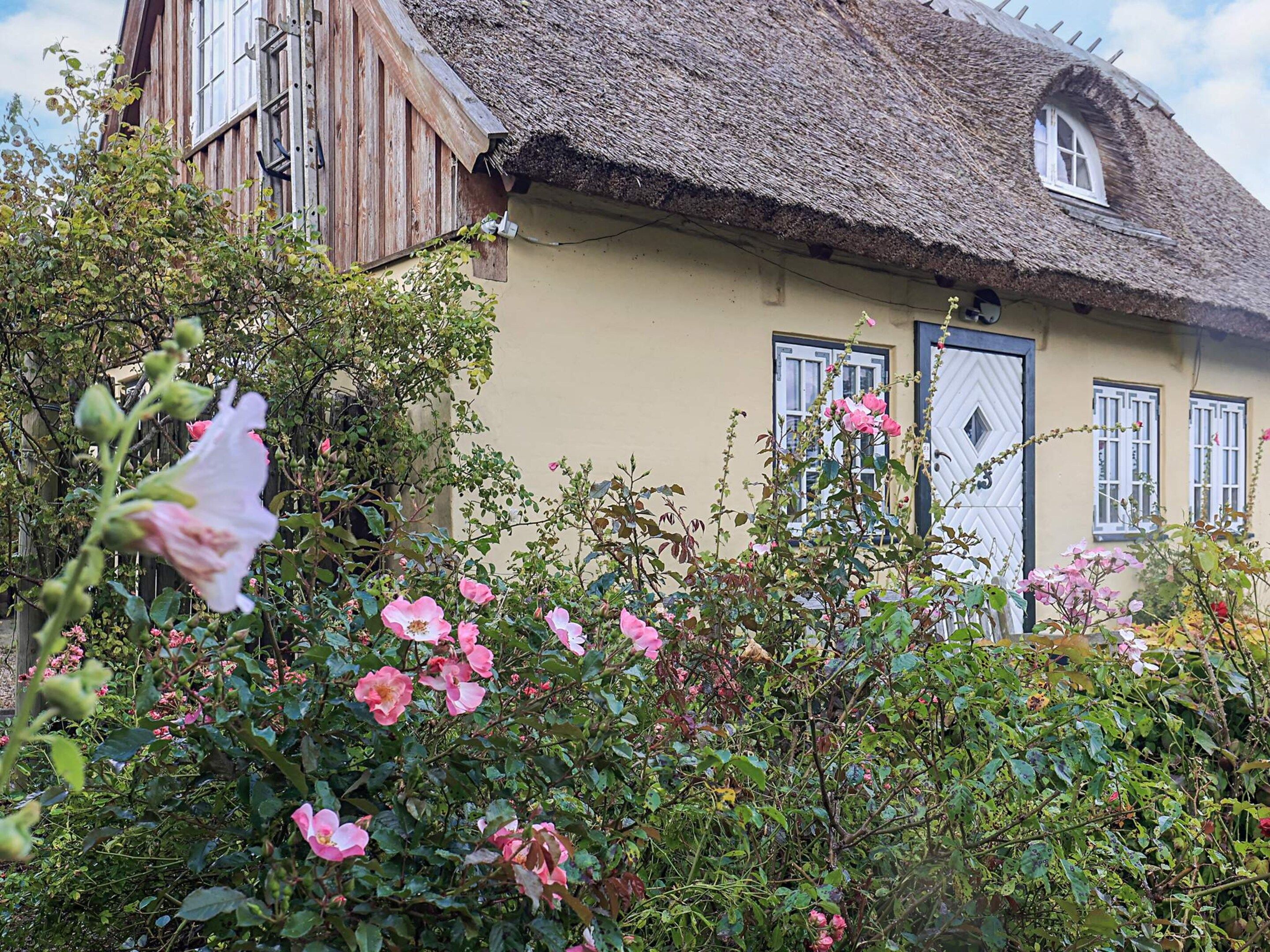 A traditional house with a thatched roof, a wooden door, and a window with shutters.