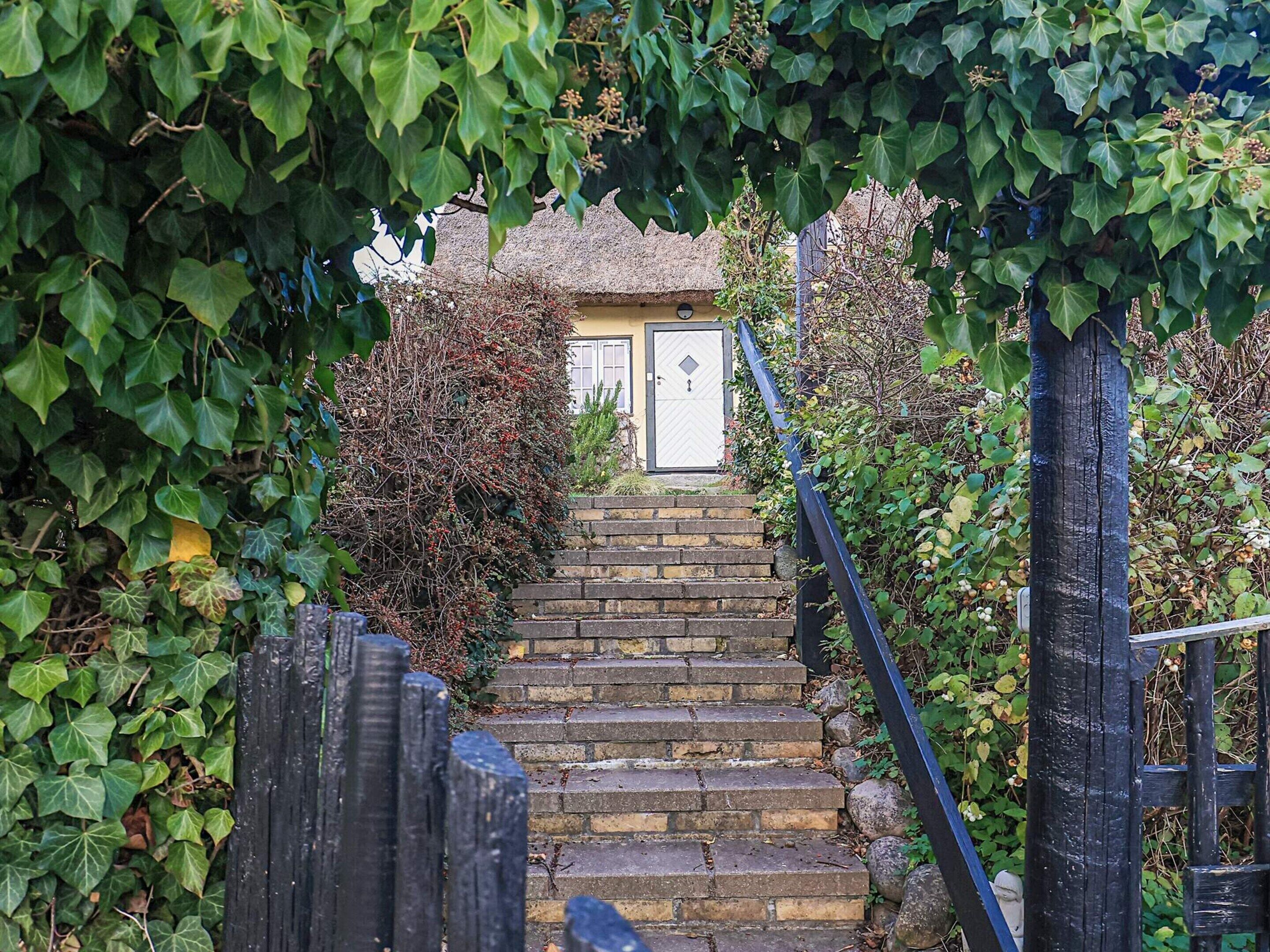 House | View from property