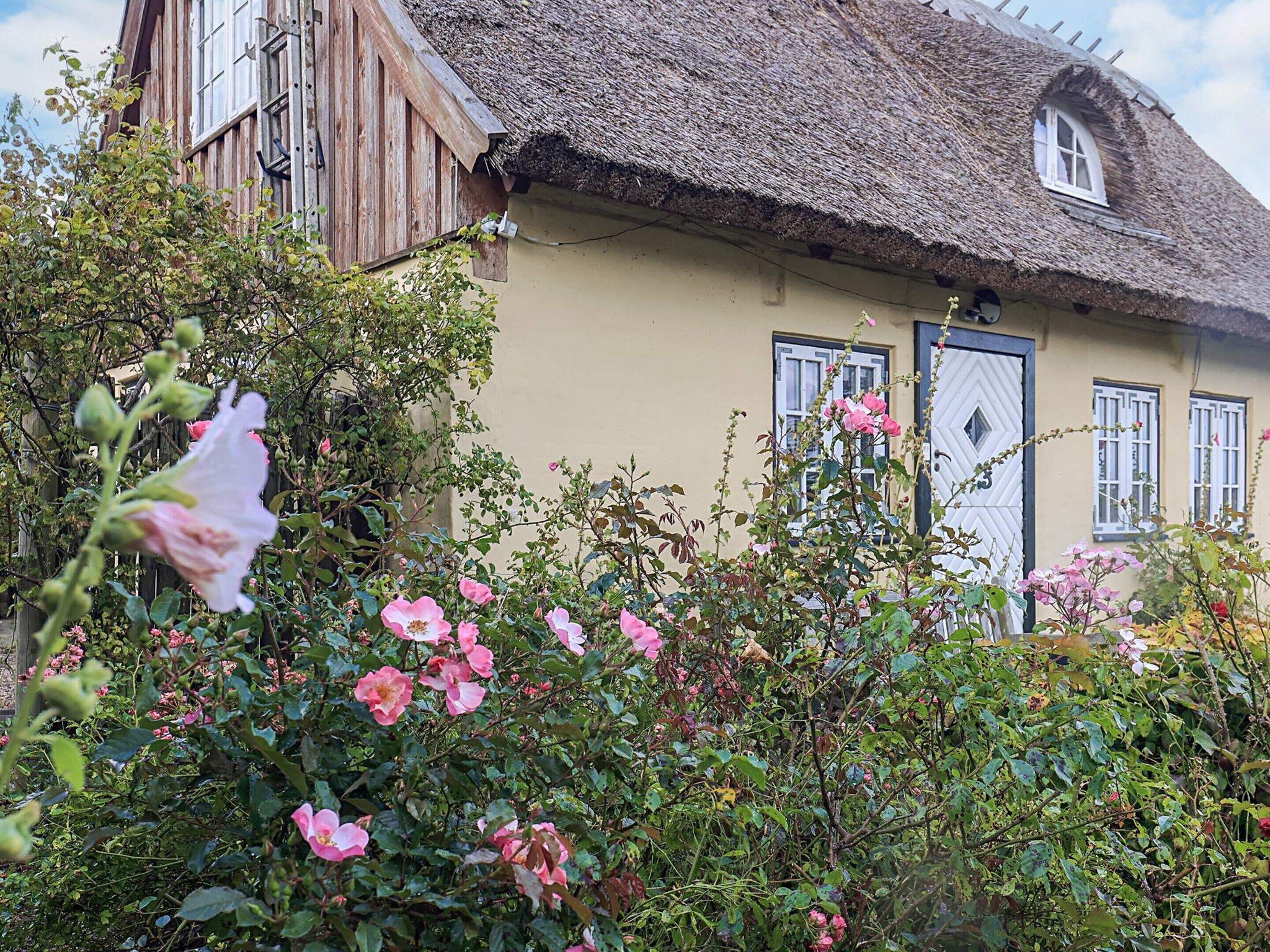 Casa | Vista desde la propiedad