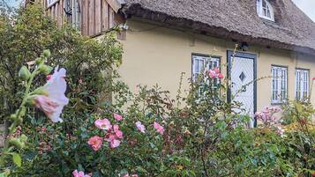 Maison | Vue depuis lâhĂ©bergement