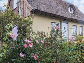 Ferienhaus | Blick von der Unterkunft
