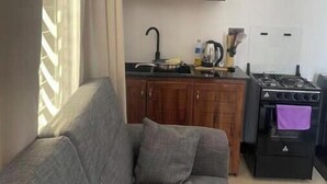 Un espacio habitable compacto con un sofá gris, armarios de madera, una zona de cocina con estufa y una ventana con cortinas de gasa.