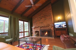 TV, fireplace