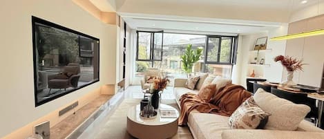 TV, books
