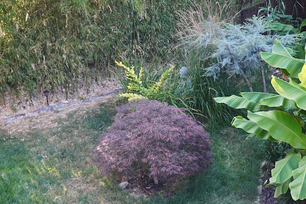 Área da propriedade