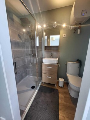 Shower, hair dryer, toilet paper