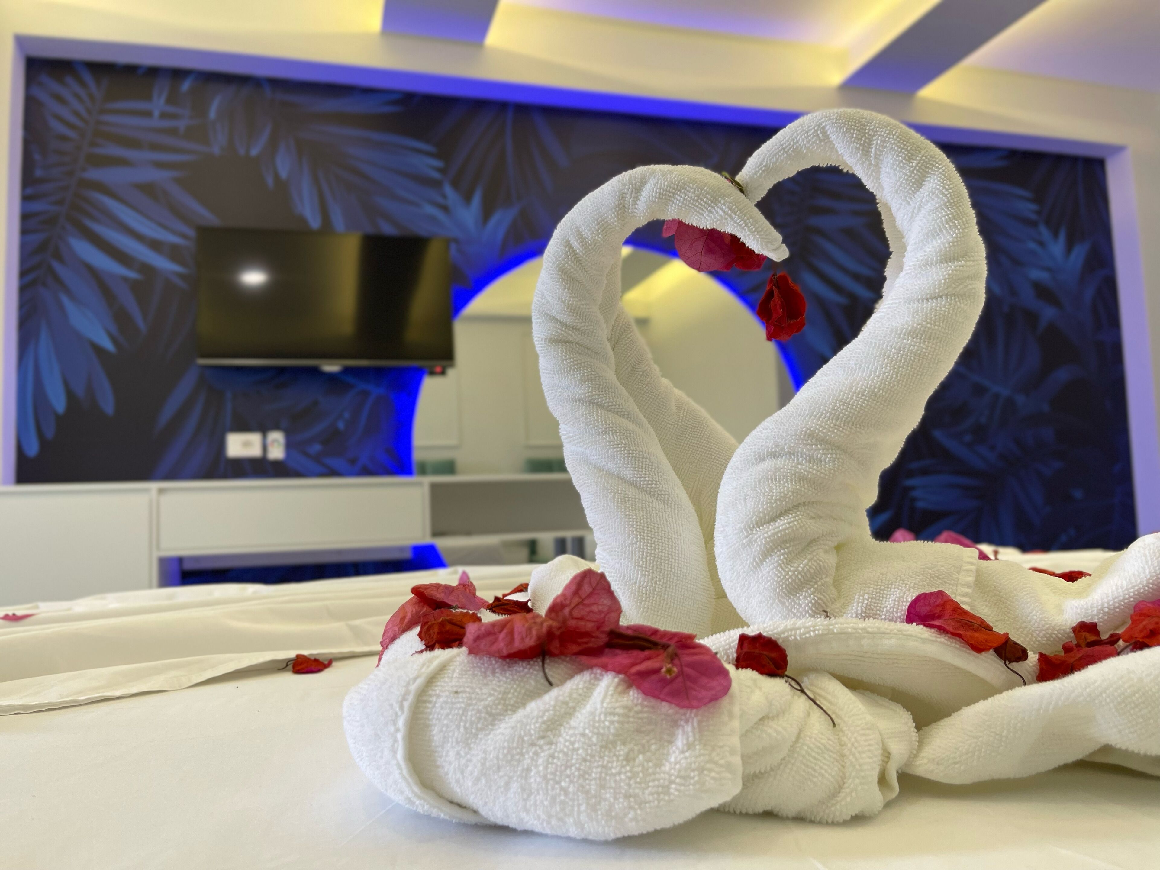 Photo - Mucobega Hotel 2