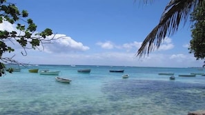 Beach/ocean view