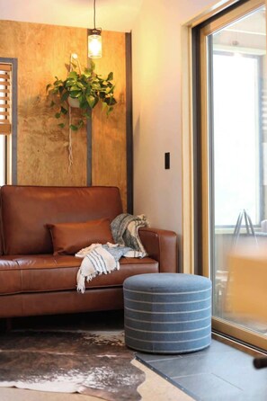 TV, fireplace, books